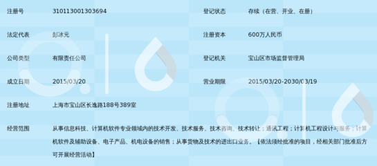 磐翼信息科技（上海） 專業信息咨詢服務，助力企業決策與創新